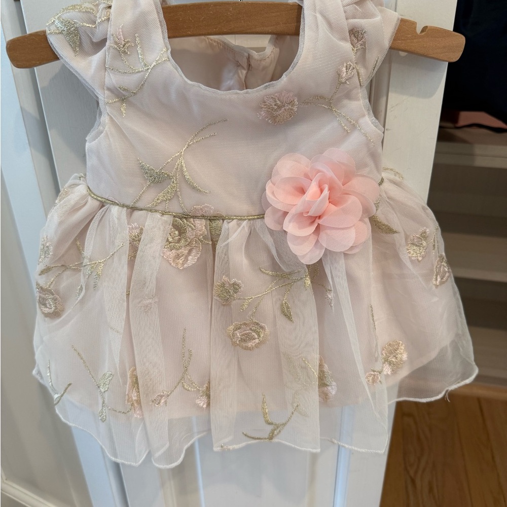 Lilt Pink Floral Embroidered Dress Sz 6mo